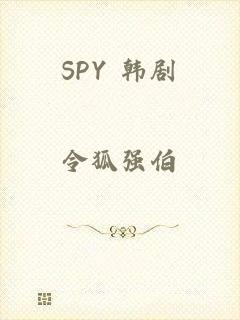 SPY 韩剧